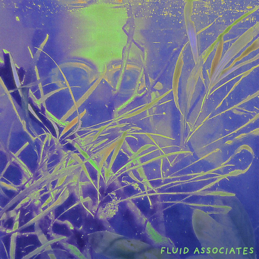 The Rhetorician’s “Fluid Associates” song cover is a photo of a person standing behind an aquarium with swimming goggles on.