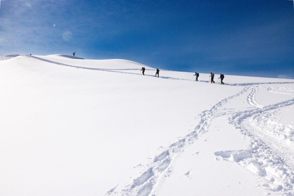 A group of hikers snowshoe through the dense snow.