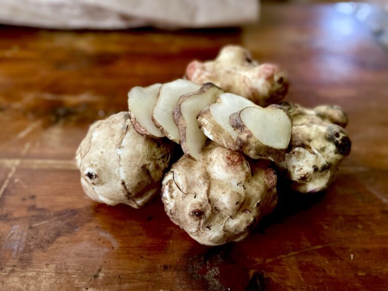 A bundle of sunchoke on the wooden counter.