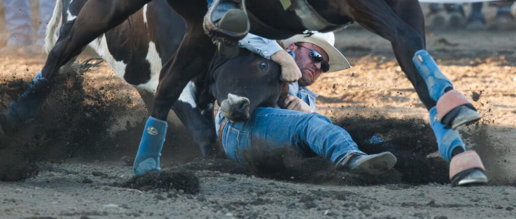 A rider digs in his heels as he grabs hold of the cow's horns to pull the beast down.