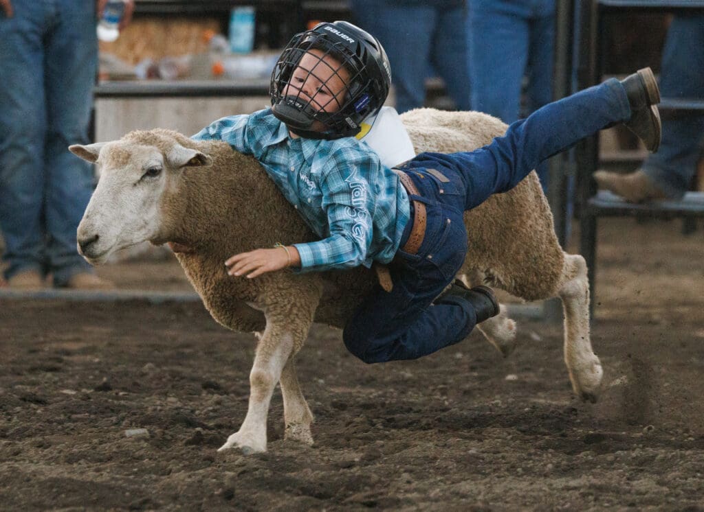 Grant Kortus holds on with one hand as he slides to the side of the lamb.