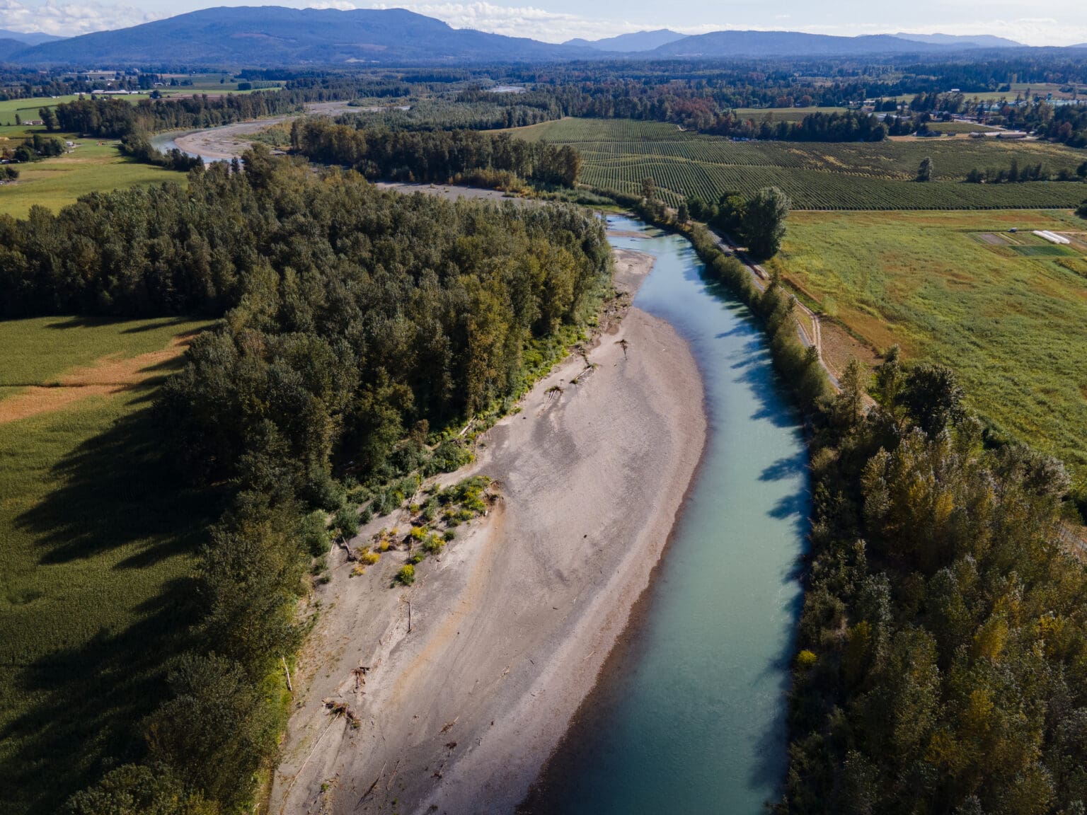 An aerial view of the Nooksack river running in between forests and flat farm lands.