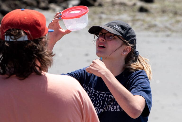 RE Sources intern Hannah Miller examines a collection of microplastics in a red Tupperware.