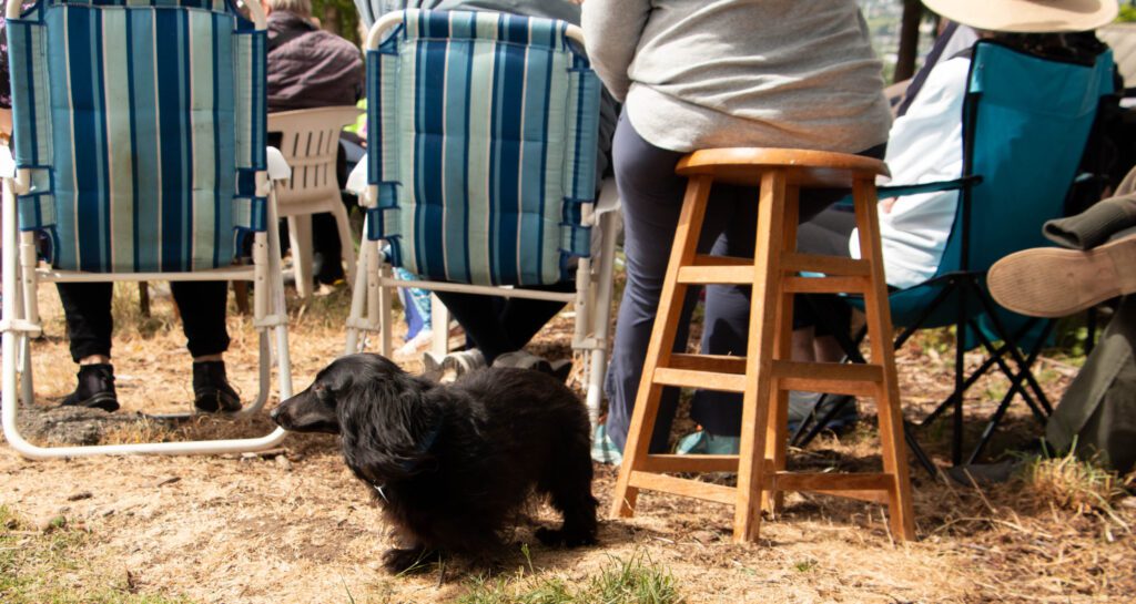 Lexi, Robert Sooter's dog, looks around in curiosity behind her seated owner.