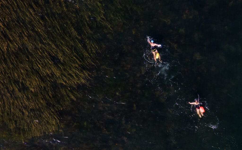 An aerial view of Kim Brown and Caroline Dietzgen swim near a patch of seaweed off the shore of Marine Park.