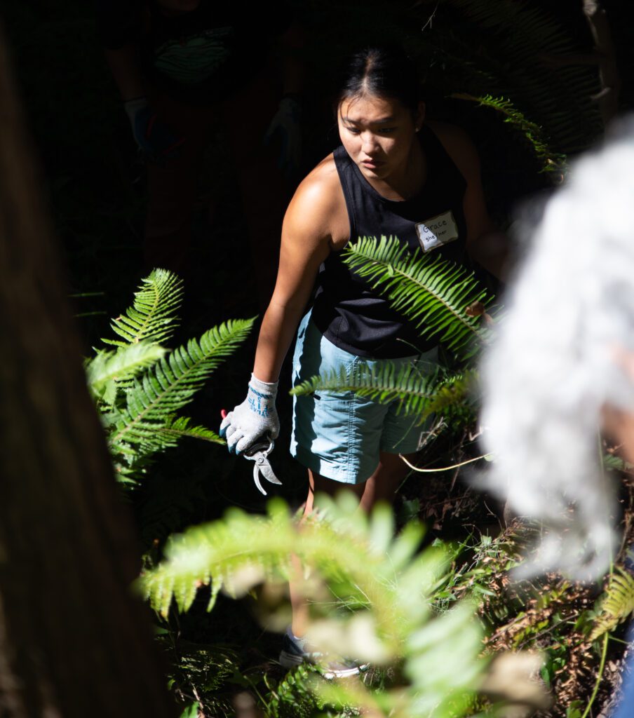 Grace Schamber, 18, looks for a vine of ivy to clip with a clipper in hand.