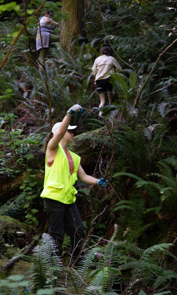 Kyleigh Kuehnis, an AmeriCorps intern holds up a branch as other helpers are searching through the bushes.