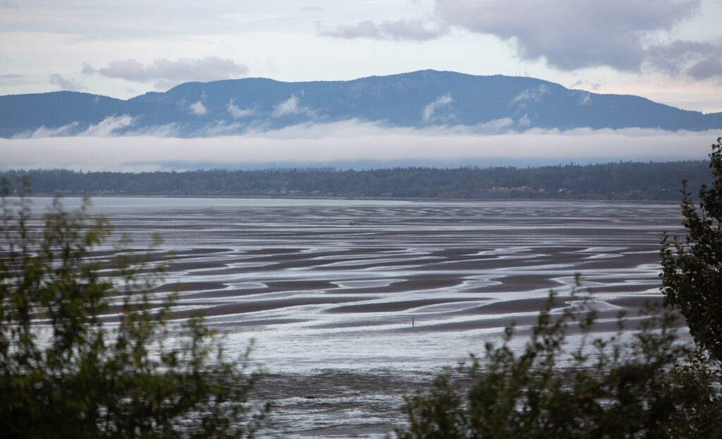 The mouth of the Nooksack River has the large mountains covered by clouds in the background.