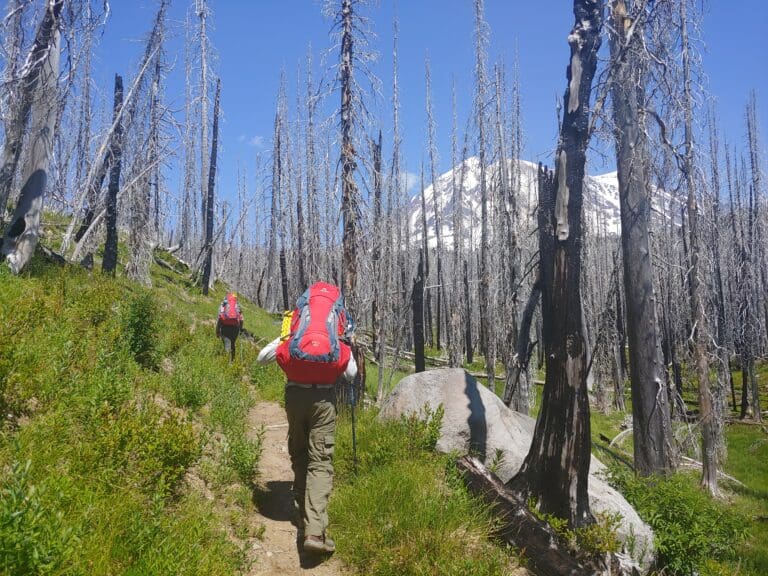 Holly and Caden Martin make their way along the Pacific Crest Trail surrounded by leafless trees.