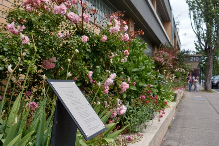 A poem plaque is on display outside Bellingham Public Library's central branch in front of dense bushes and flowers.