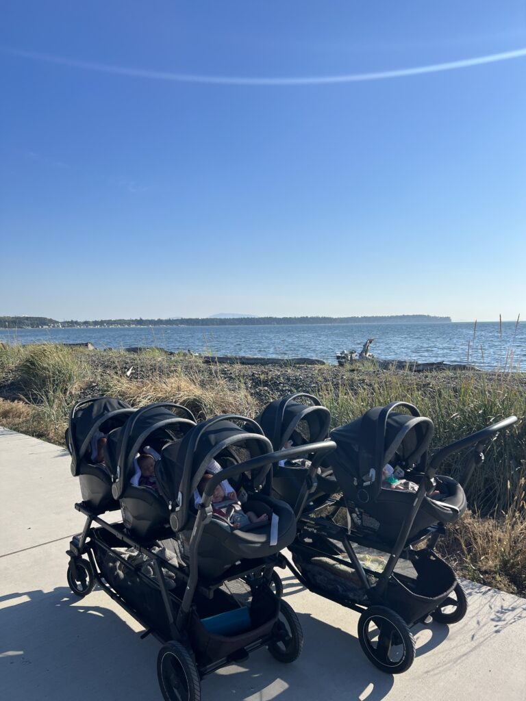 A multi-stroller holding all five babies is parked next to the tall reeds on the shore of Birch Bay.