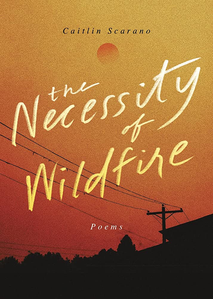 The book cover of "The Necessity of Wildfire" shows an ombre of an orange sky.