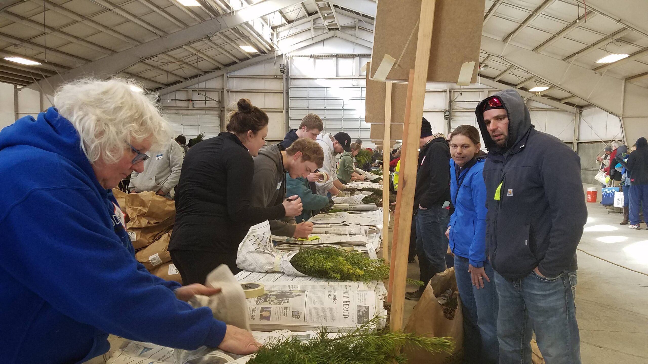 Annual seedling sale raises funds for educational programs in Whatcom  County