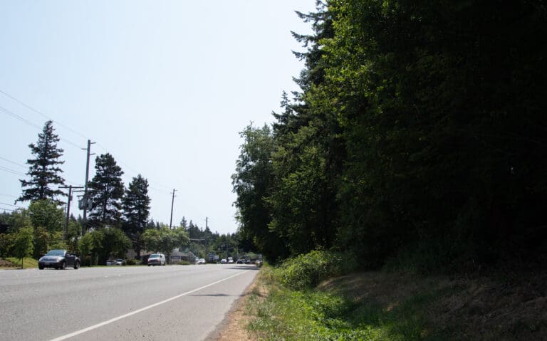 The property at 3509 Meridian St. has dense forestry bordering the road.