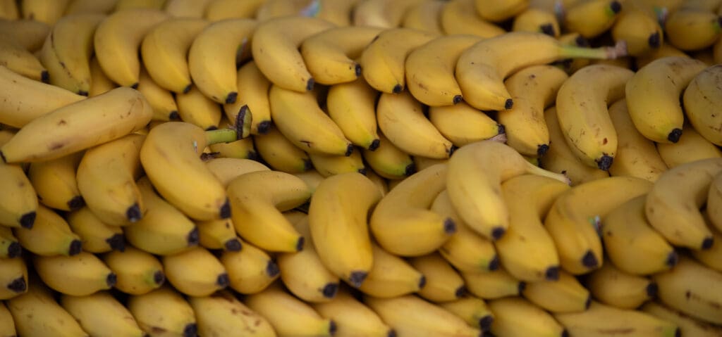 Hundreds of bananas stacked on top of each other.