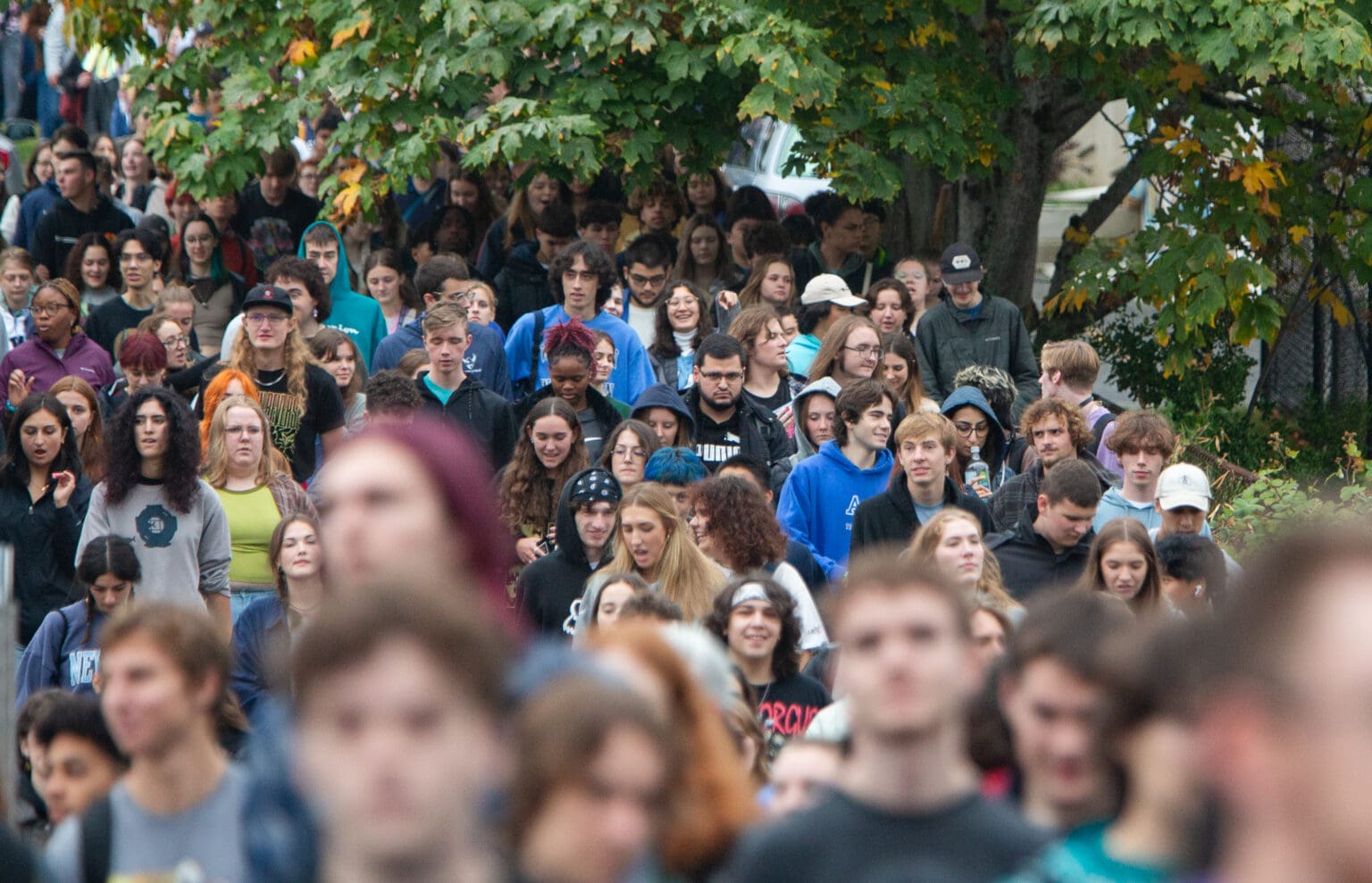 Crowds gather at the steps of downtown Bellingham.