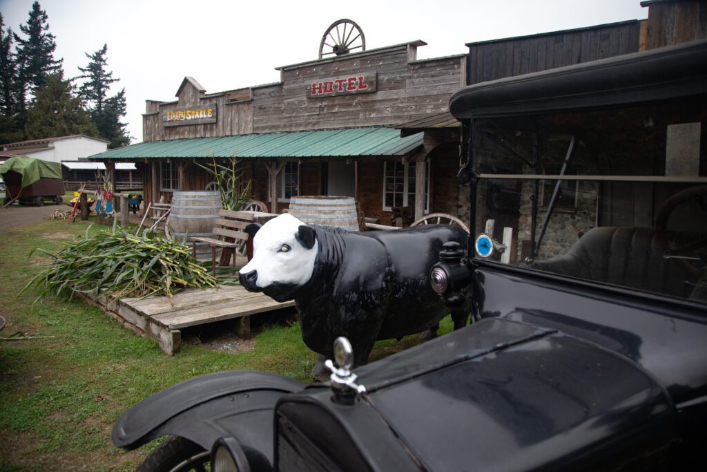 Dan Cramer's Western Town has vintage decorations around the wooden buildings, one of which is a cow next to a vintage car.