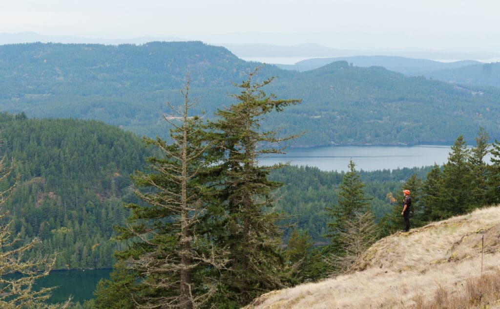 Halfway up Mount Constitution Road, a person takes in the view of the trees, mountains, and lake.