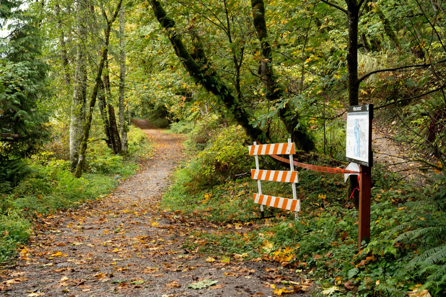 The new path from the current terminus of the Chanterelle Trail to the lakeside Hertz Trail after more than a year of construction still has leftover markers to block off visitor access.