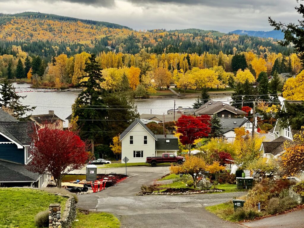 Dense forestry and bushes show autumn colors all around residential areas.