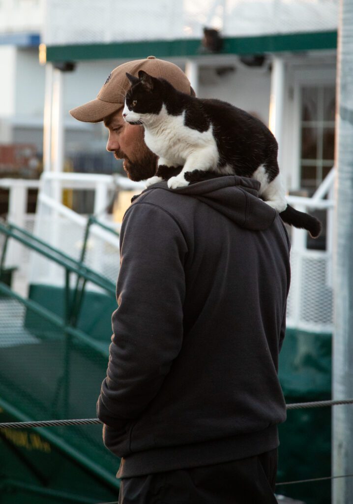 Calen Mehrer directs the docking of the Schooner Zodiac with the boat's resident cat Abby on his shoulders. Abby is 13 and has spent most of her life aboard the vessel.