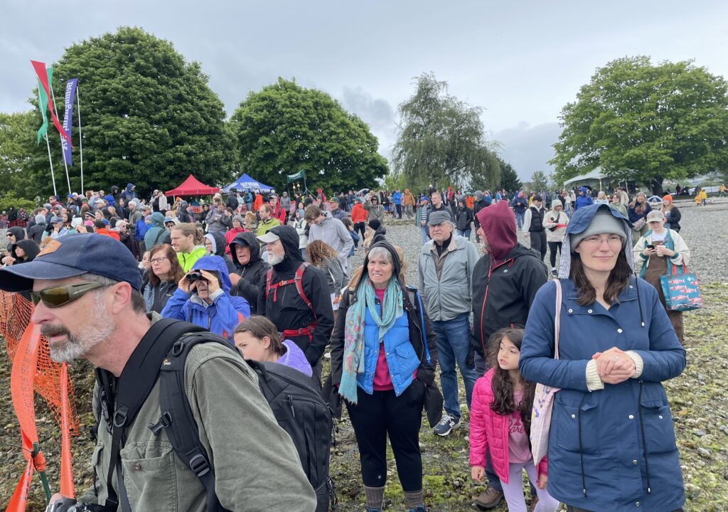 The crowd watches the first two kayak racers coming in at the finish line.