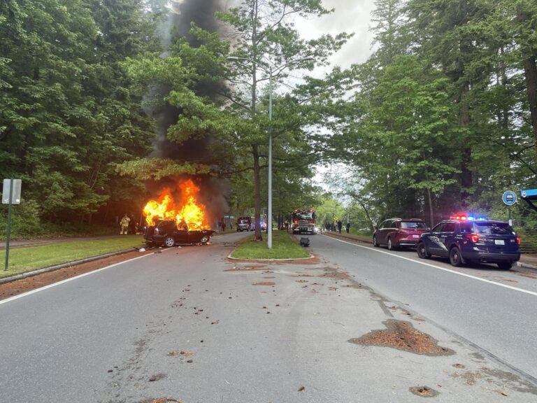 A black car on fire with smoke and flames next to trees on a road.