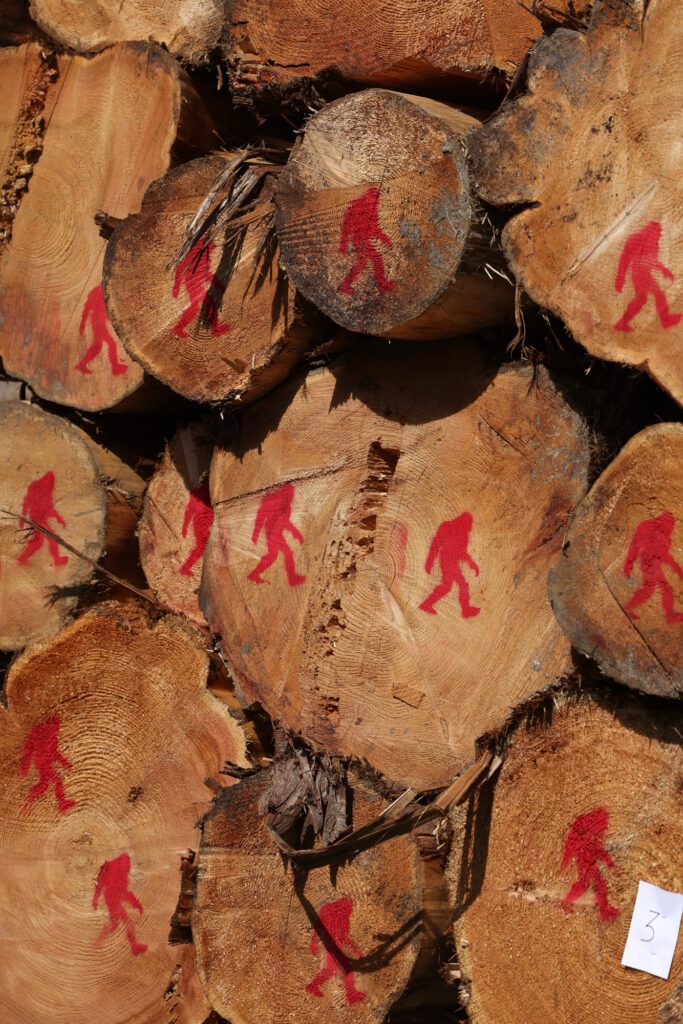 A Sasquatch logo is seen on a semi truck load.