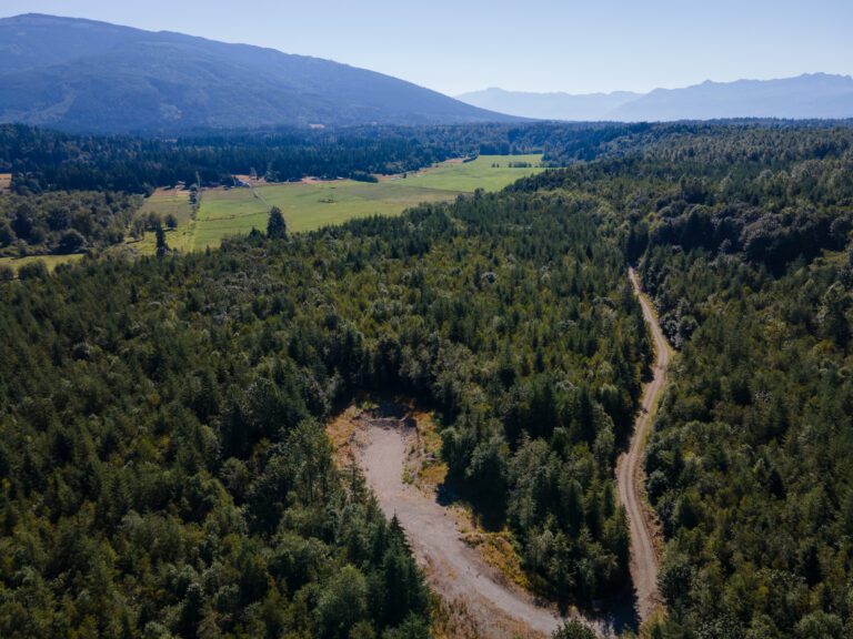 An aerial view of a cleared road surrounded by dense forests at Skagit County.
