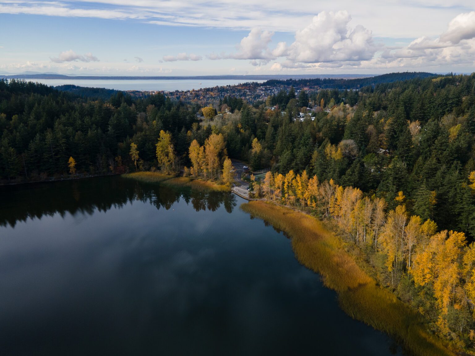 Lake Padden surrounded by dense forests and a road that leads to Bellingham.