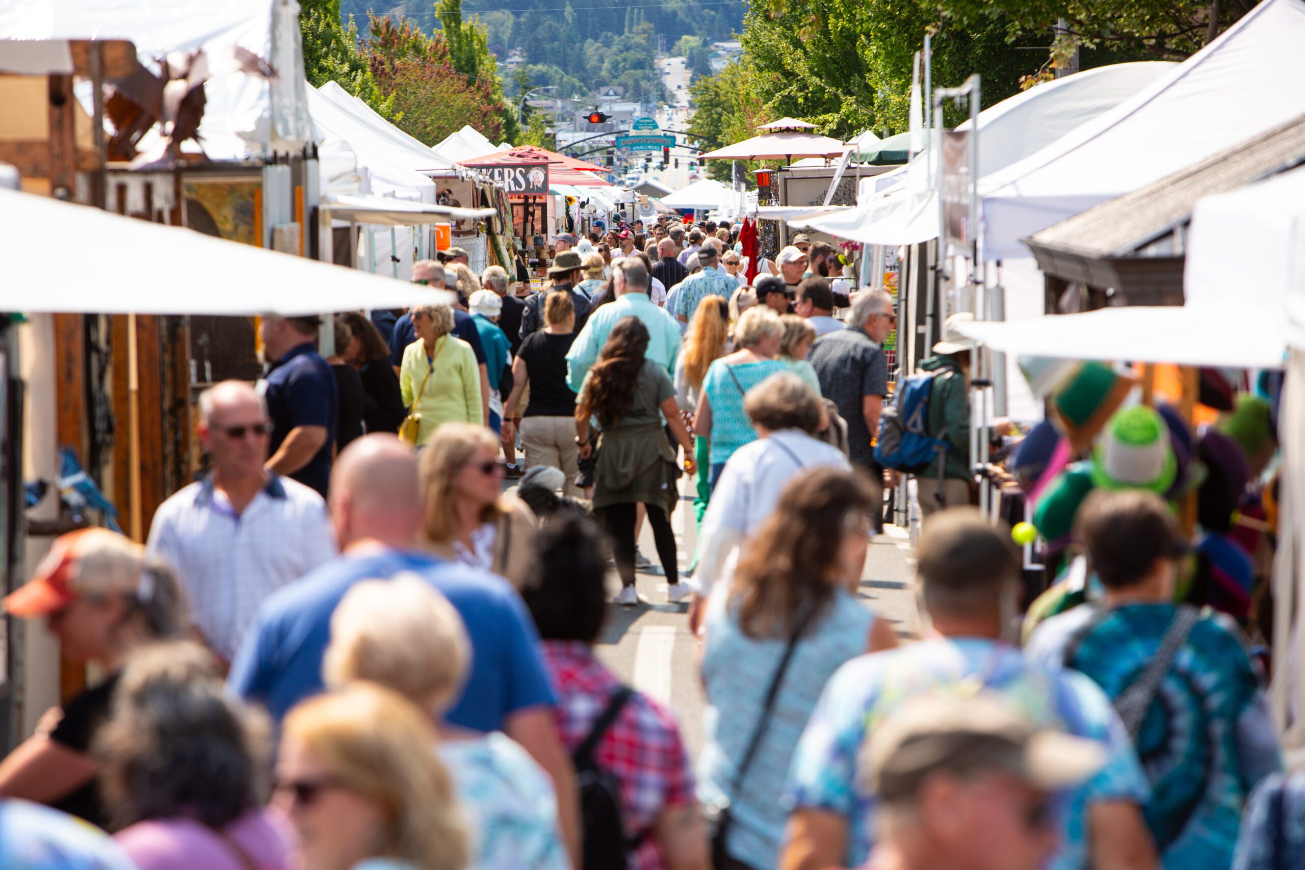 Anacortes Arts Festival tradition continues with fine art, family fun