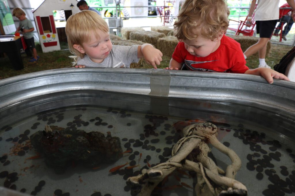 Kooper Brandt, 4, left, and Levi Wiemer, 2, look at a tank of goldfish in the Small Animal Experience.