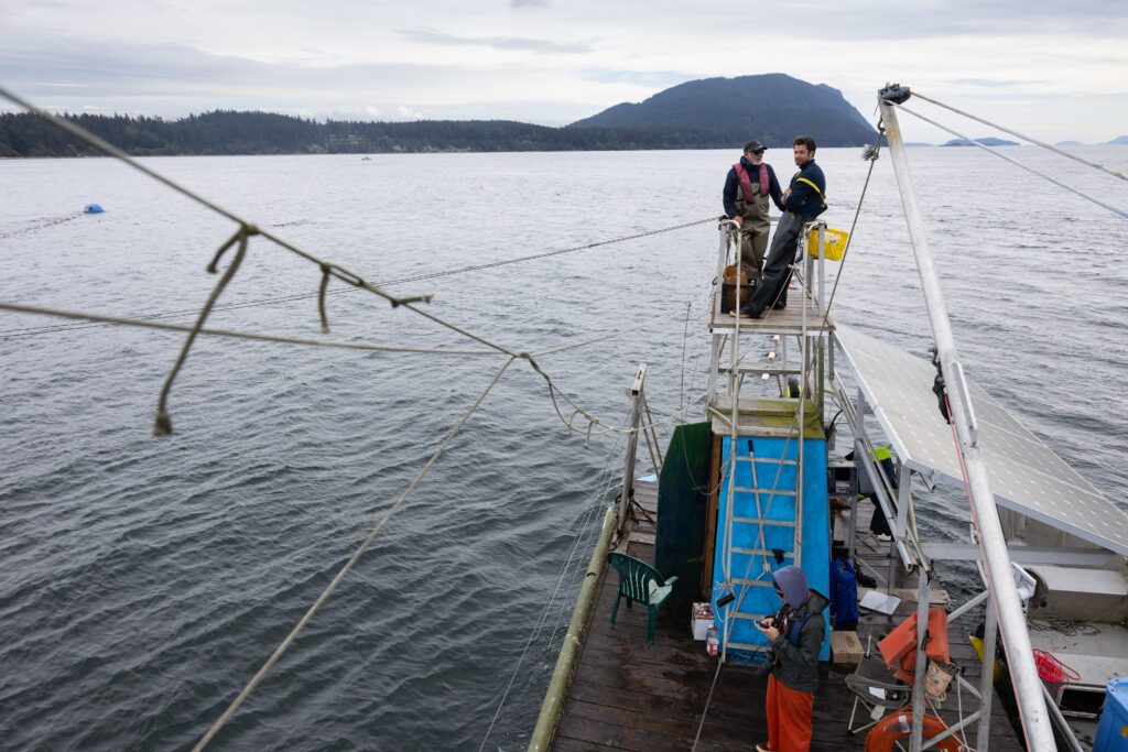 Reefnetters wait for salmon to swim atop their net, suspended with lines between their station and another small barge. When a school of salmon swim through, they lift the net from the water and the live fish are rolled into a well on the deck of the reefnetter. The method follows Indigenous fishing practices, developed centuries back, with the net slung between two canoes.