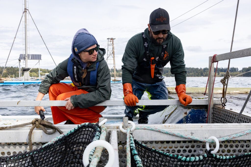 Research biologist for the Oceans Initiative Laura Bogaard, left, and reefnetter Roger Kubalek check the live well for bycatch — species that are not coho. The method with the live well enables the fishermen to return the wrong fish back to the water.