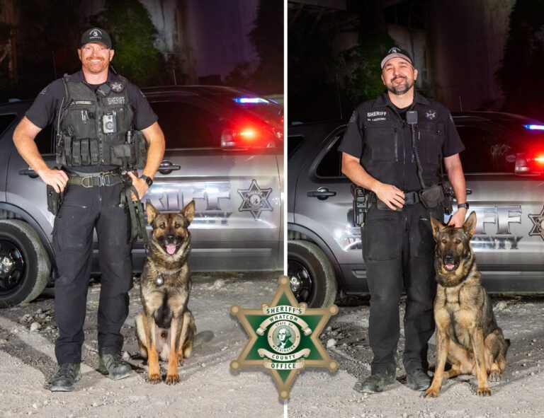 Two men dressed in black sherriff office uniforms with two dogs stand side by side.