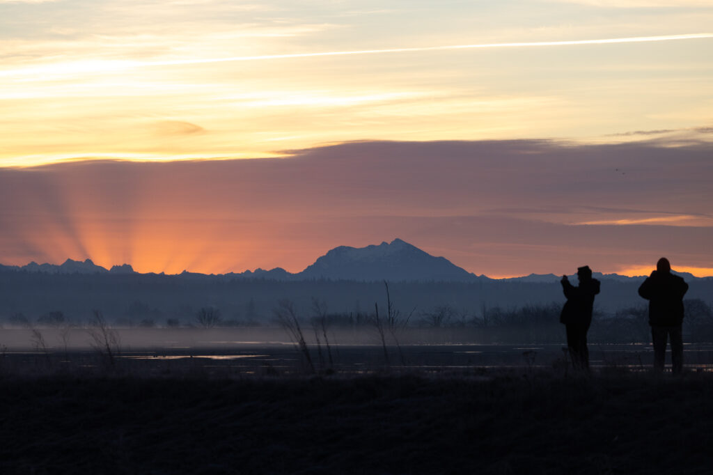 People take photos of the sunrise while at Fir Island Farm Reserve.